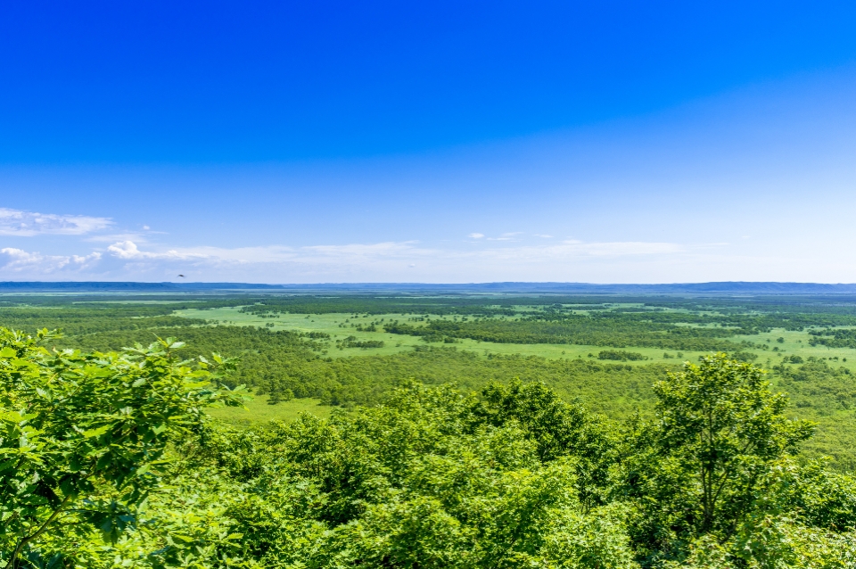 釧路湿原（イメージ）